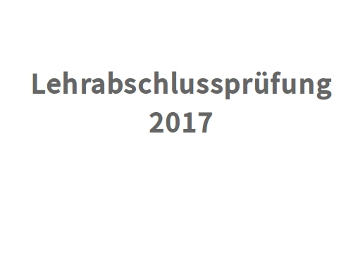 16.6.2017 Lehrbaschlussprüfungen bestanden